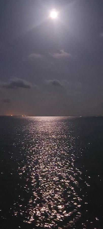 Cabana Buenos Aires بالومينو المظهر الخارجي الصورة